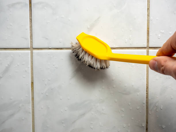 Best Office Mold Removal Services  in Pearsall, TX